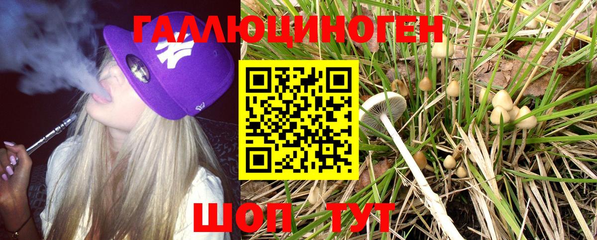 Галлюциногенные грибы Psilocybine cubensis Балашов